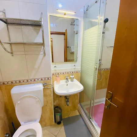 公寓 Spirito 罗戈兹尼察