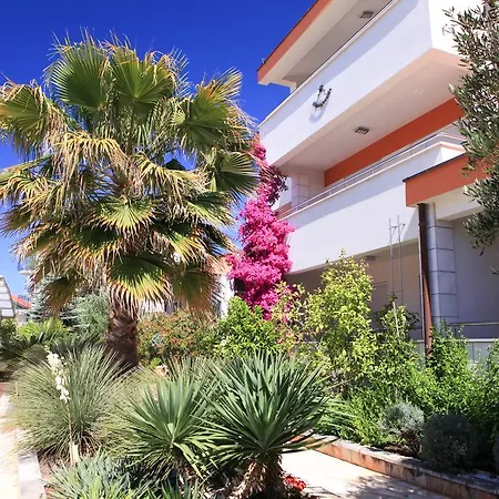 Spirito 罗戈兹尼察