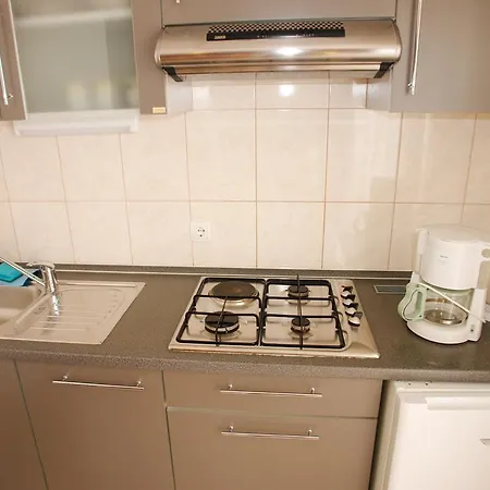 公寓 Spirito 罗戈兹尼察